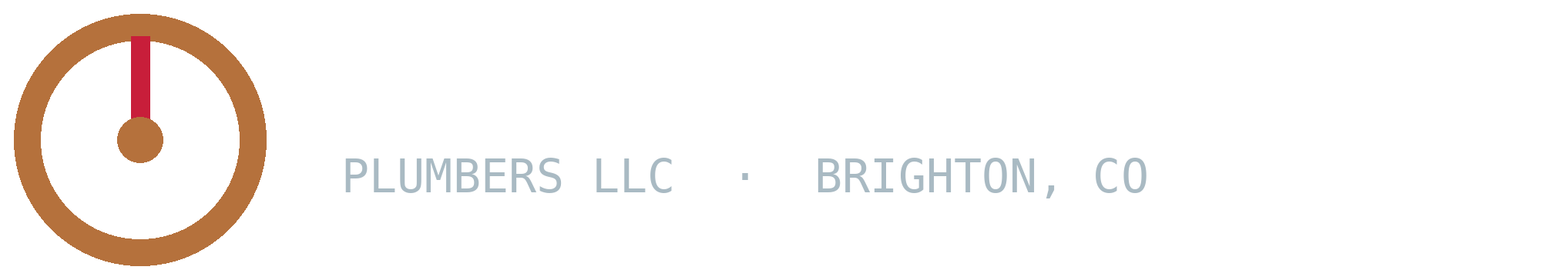 Brantley & Sons Plumbers LLC logo