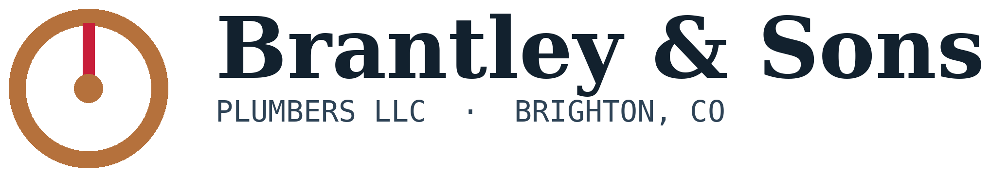 Brantley & Sons Plumbers LLC logo